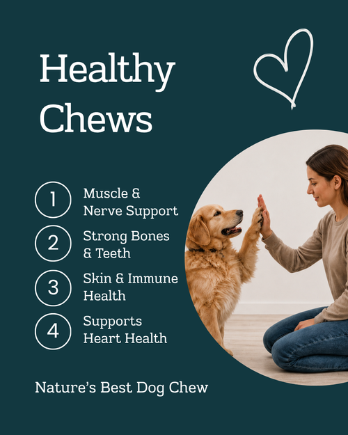 Elk Antler Split Chew