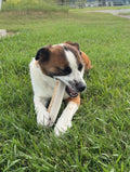 Elk Antler Split Chew