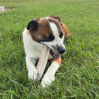 Elk Antler Split Chew